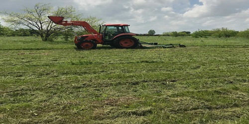 Pasture Mowing