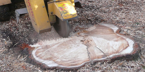 Stump Grinding