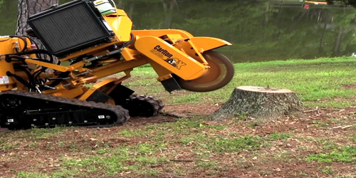 Tree Stump Removal
