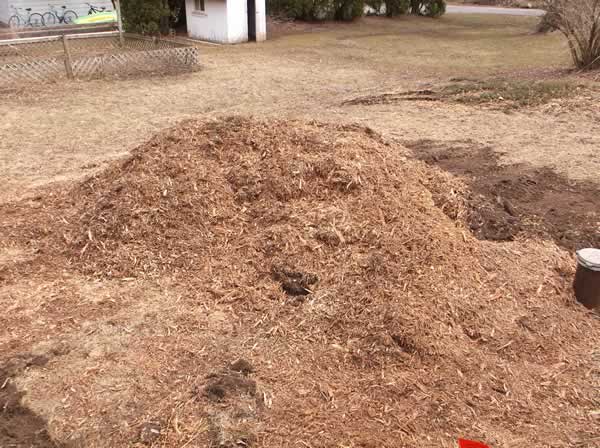 Tree Stump Grinding, Stump Removal