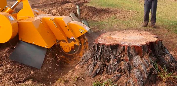 Tree Stump Grinding, Stump Removal